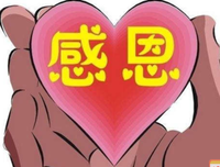 情把那经典的句子