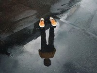 一天，一年，一生！（写的真好）