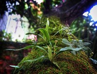 写作，必须有良好的写作场