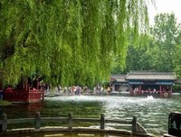 关于随摘的句子