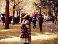 我和王小菊的读后感大全