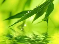 关于自寻烦恼的唯美语录
