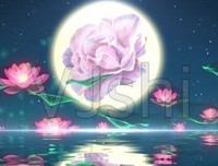 月色下的倒影