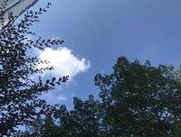 最全的《明日重来》经典的句子
