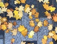 深情不改经典的句子