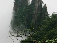 关于触景生情的格言