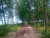 蒙岱聂哲向发小句子大全