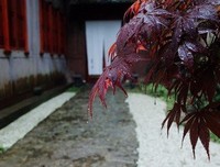 月薪五万的人，在吃上能有多作