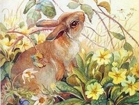 随遇后实便上利于读优美的句子