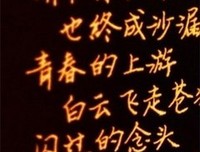 收录优美的句子