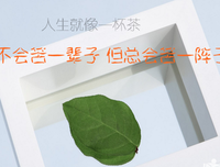 痴男怨女句子大全