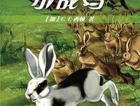 《战马》经典读后感有感