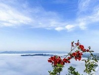 关于风霜雨雪的座右铭