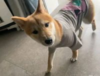 心烦的时候，就这样对自己说！