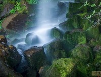 静水流深优美的句子