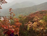 关于坑坑洼洼的座右铭