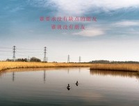 15条关于坦诚相待的经典语句