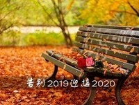 心跳的优美句子