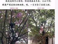 “李子柒，你的真面目终于曝光了”