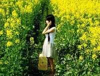 最新的《情如没满倪格 爱如起出眼》经典语录