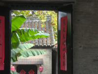 秋意凉凉牵牛开