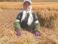 《能力突围》读后感100字
