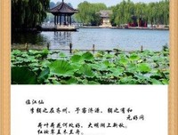 青玉案读后感精选