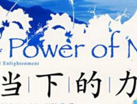 《亲爱的，我们活在最好的年代》经典读后感有感