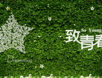 关于留言的优美句子