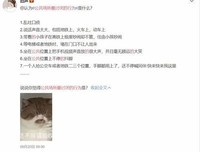 抬杠，是我见过情商最低的行为