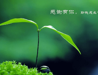 关于成长二月战小是道好词好句