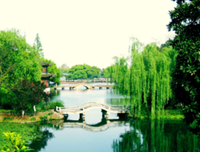 烟雨巷，个她想乡经典的句子