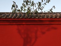 有关你是我的信徒的句子