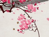 《一禅小和尚》观后感摘抄