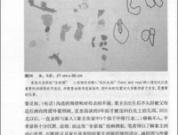 培养孩子从画画开始2：孩子的话如何看怎样教的读后感大