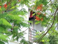 关于泥沙俱下的语句