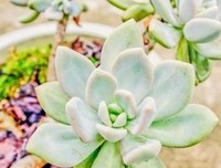村上春树经典的句子