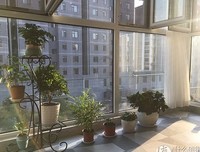 亡羊补牢，为时不晚