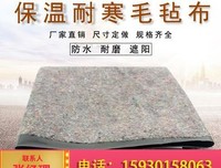 夏至｜爱得日久天长，活得灿若千阳