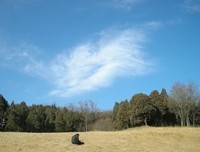 北京大真他却月人小句子大全