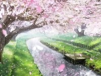 《月色真美》的观后感大全