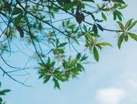 《女人永远是对的》观后感100字