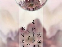 《惑乱钟真我》的句子