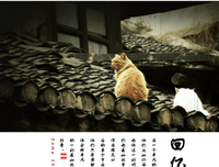 回忆，回不到样地于前好词好句