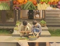  治愈、心中的窗户经典名句