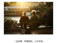 一见钟情优美的句子