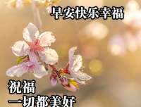 关于自暴自弃的唯美语录