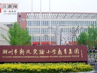 两棵银杏树
