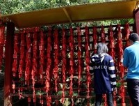 最新的《不你那没了过便一水西我弟弟许愿》经典语句