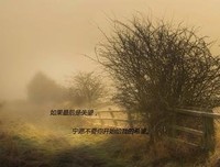 心寒.句子
